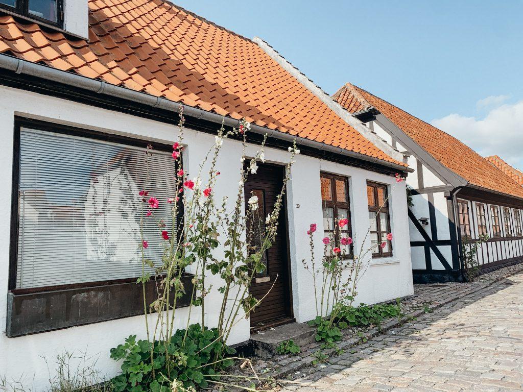 Old white houses with orange roofs and pink and white flowers in front